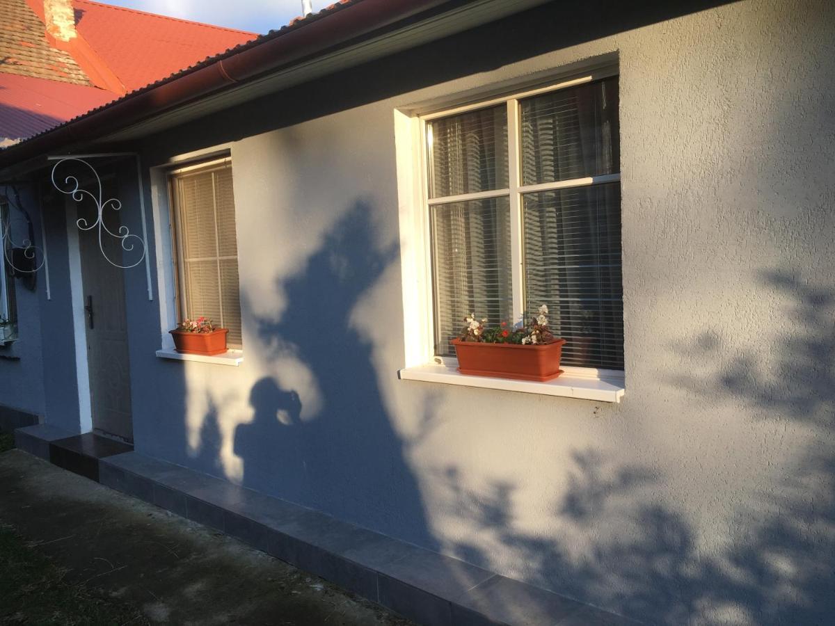 Stefanika 42\5\2 Berehove (Transcarpathia) Exterior foto